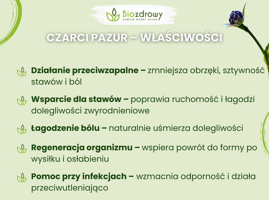 Czarci pazur - właściwości - infografika