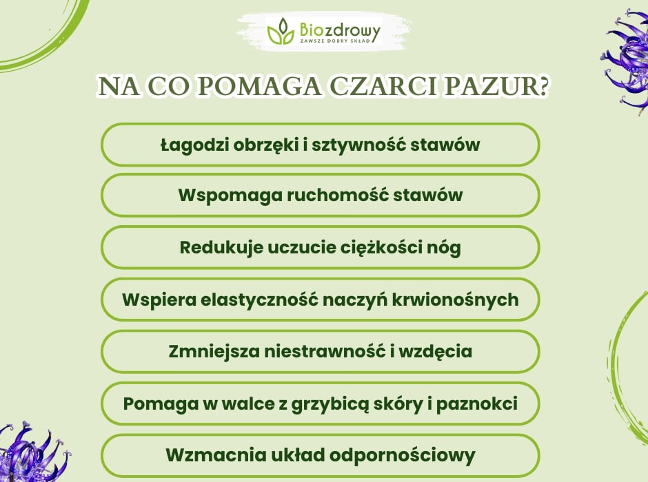 Na co pomaga czarci pazur - infografika