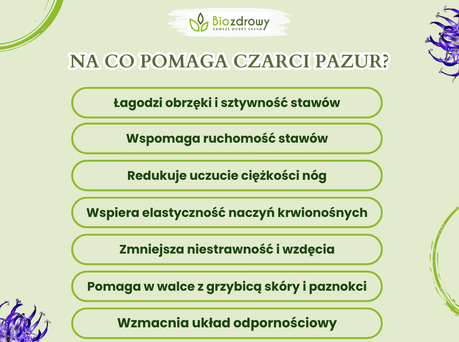 Na co pomaga czarci pazur? - infografika