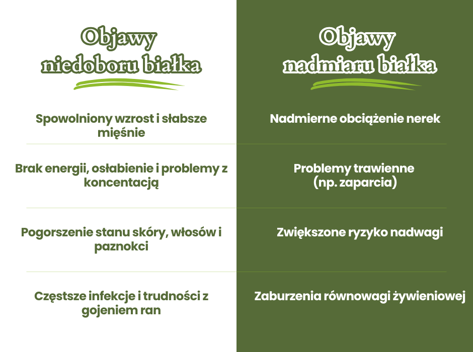 Niedobór i nadmiar białka w diecie dziecka - infografika