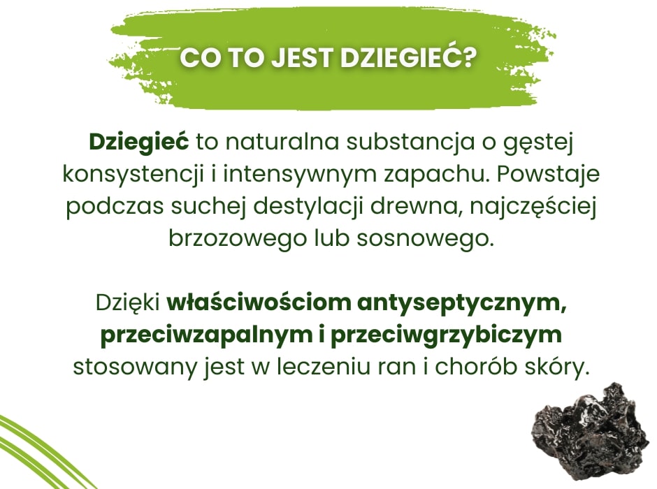 Co to jest dziegieć - infografika