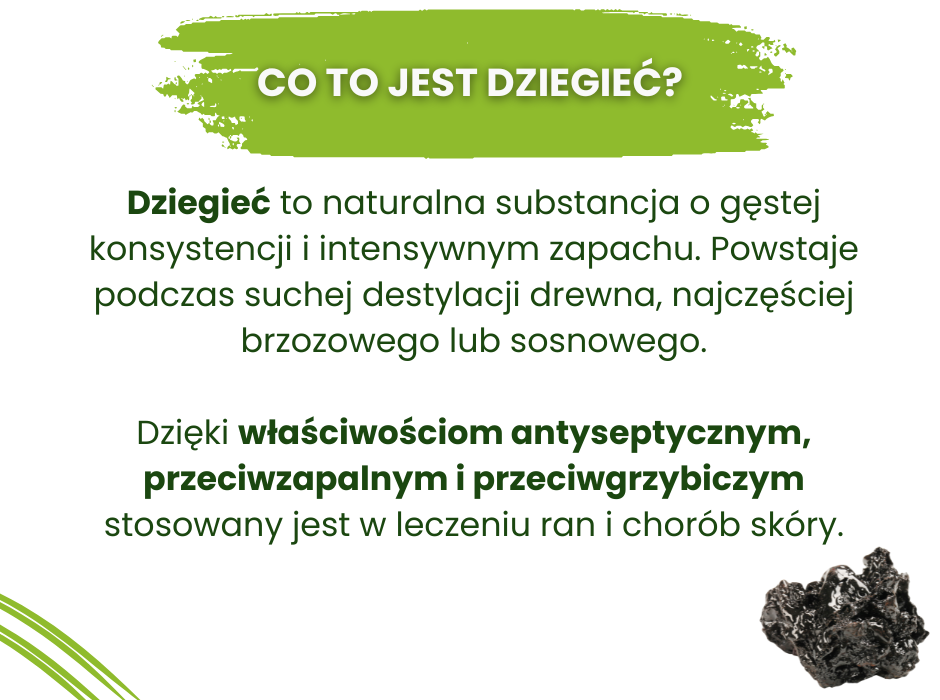 Co to jest dziegieć? - infografika