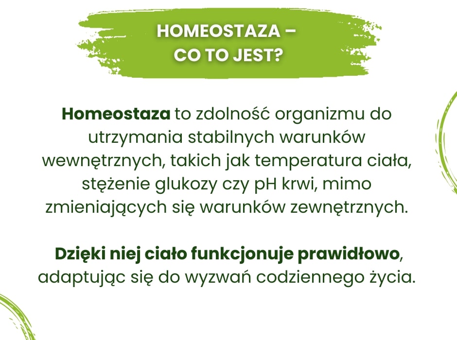 Co to jest homeostaza - infografika