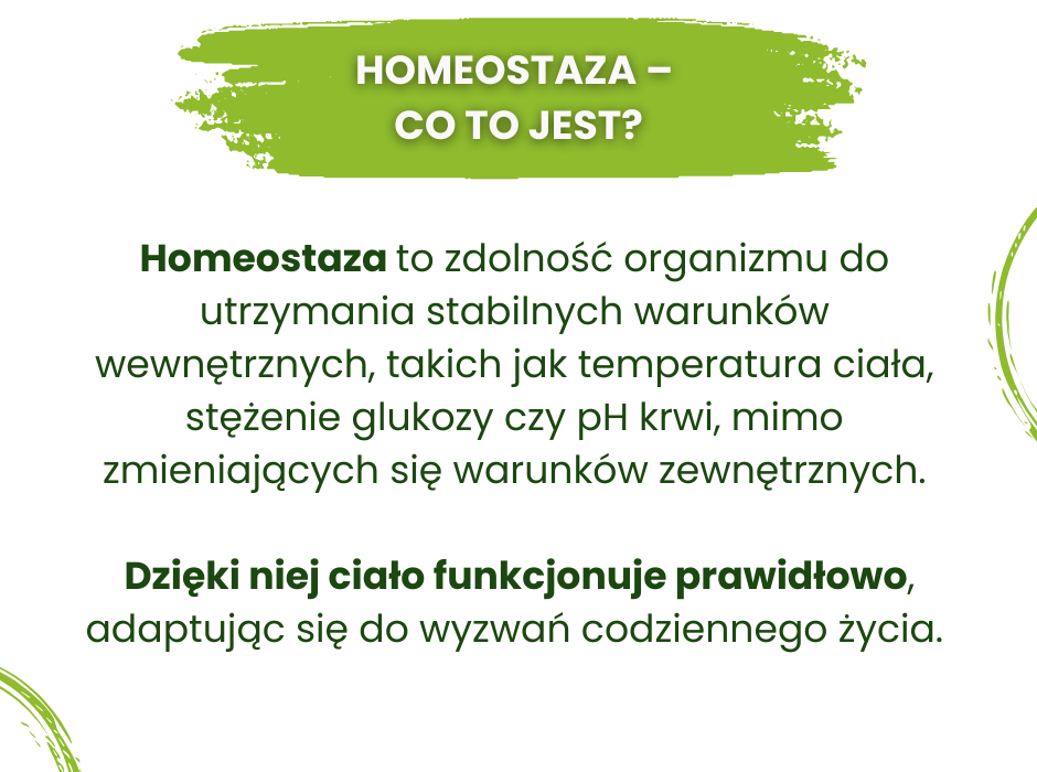 Co to jest homeostaza? - infografika