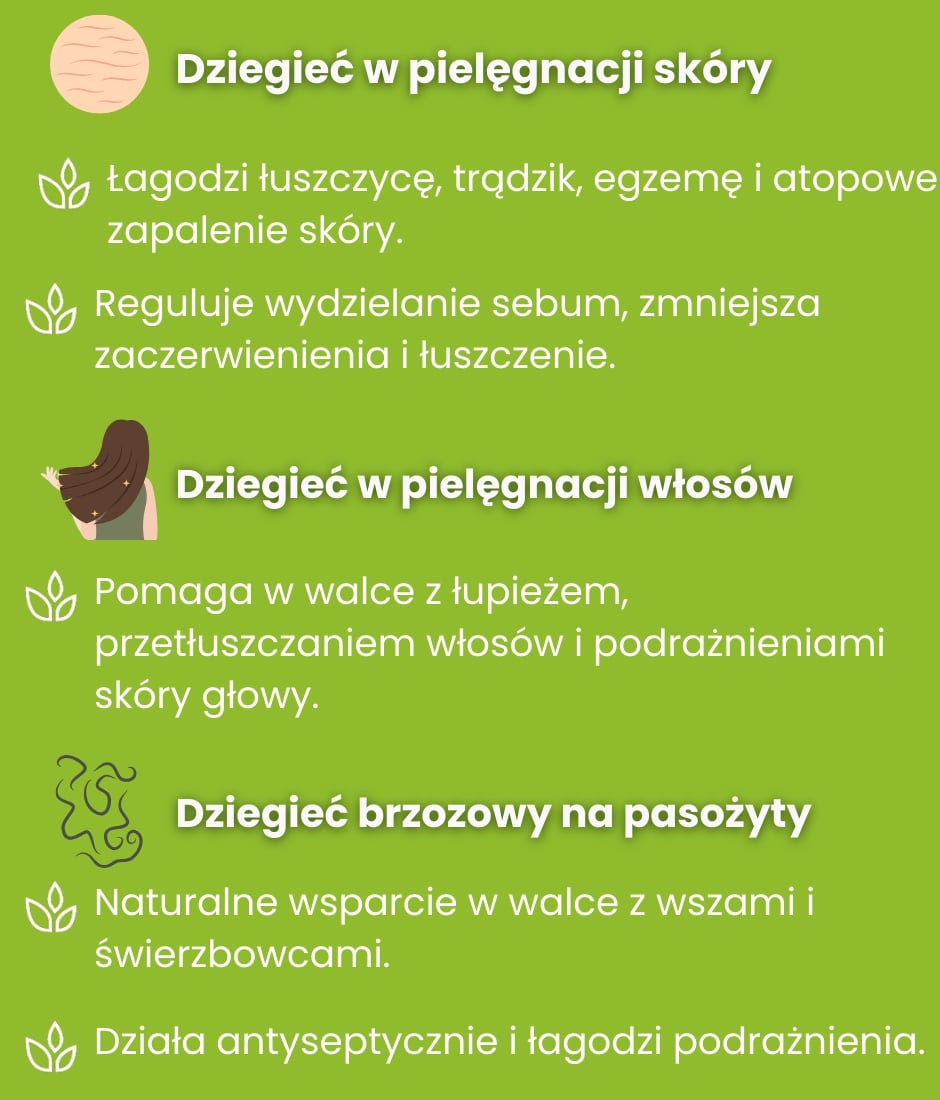 Dziegieć zastosowanie - infografika