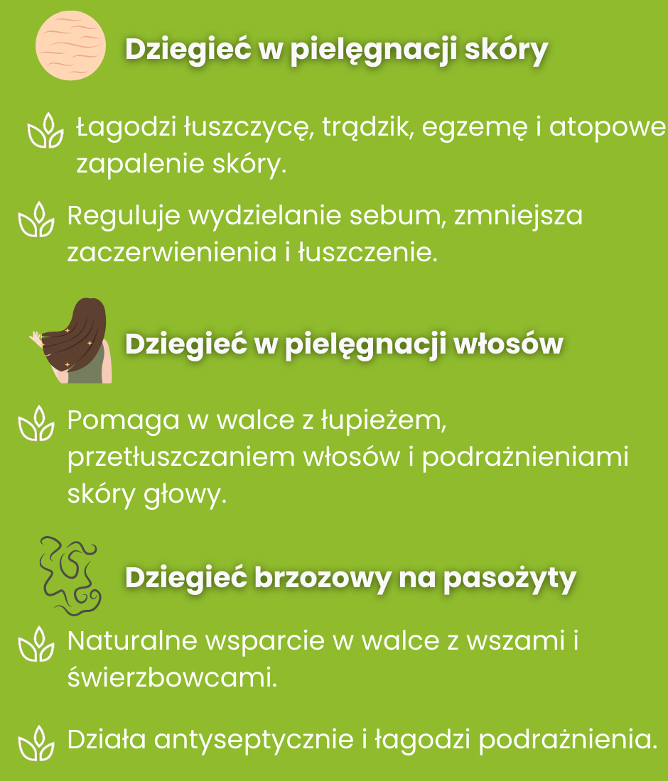 Dziegieć zastosowanie - infografika