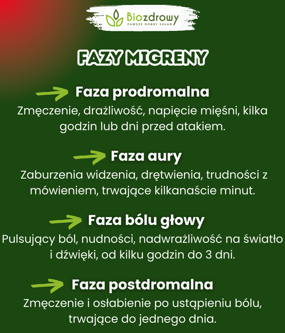 Fazy migreny - infografika