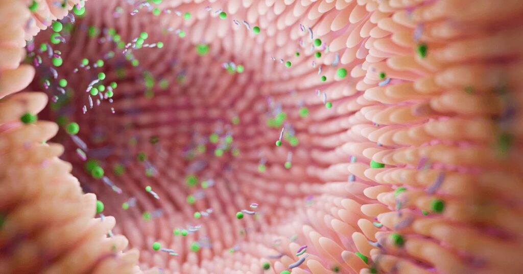 Flora bakteryjna - co to jest i gdzie się znajduje - obrazek wyróżniający