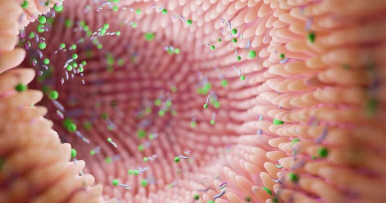 Flora bakteryjna - co to jest i gdzie się znajduje - obrazek wyróżniający