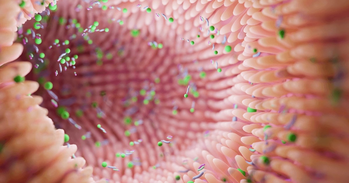 Flora bakteryjna - co to jest i gdzie się znajduje - obrazek wyróżniający