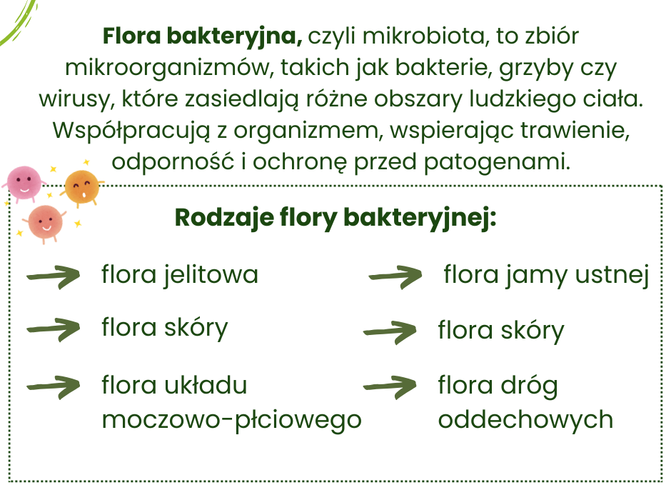 Flora bakteryjna - infografika