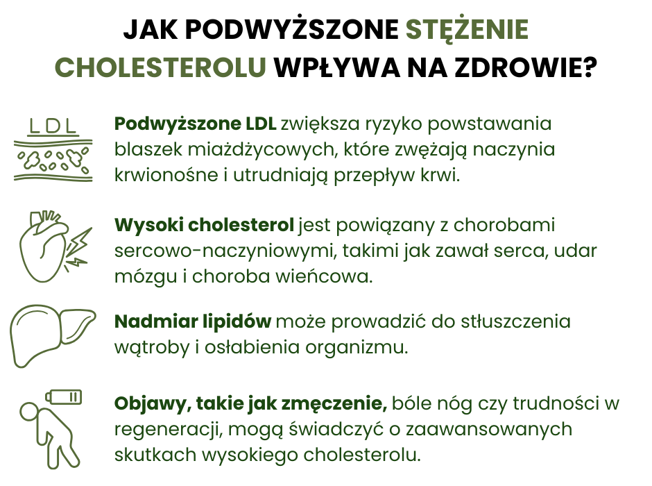 Jak podwyższone stężenie cholesterolu wpływa na zdrowie? - infografika