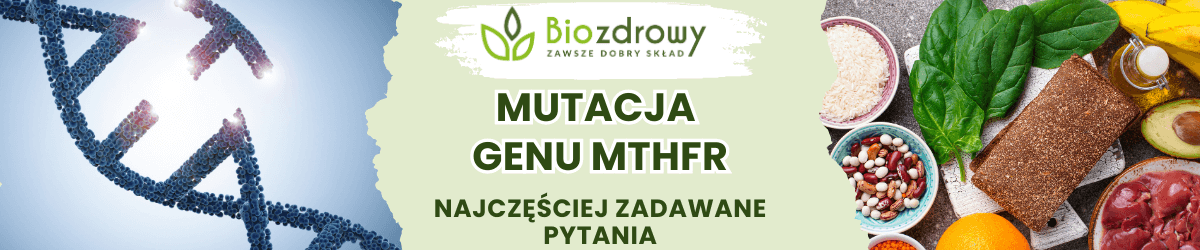 Mutacja genu MTHFR FAQ - obrazek poglądowy