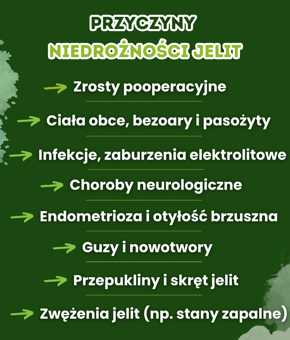 Przyczyny niedrożności jelit - infografika