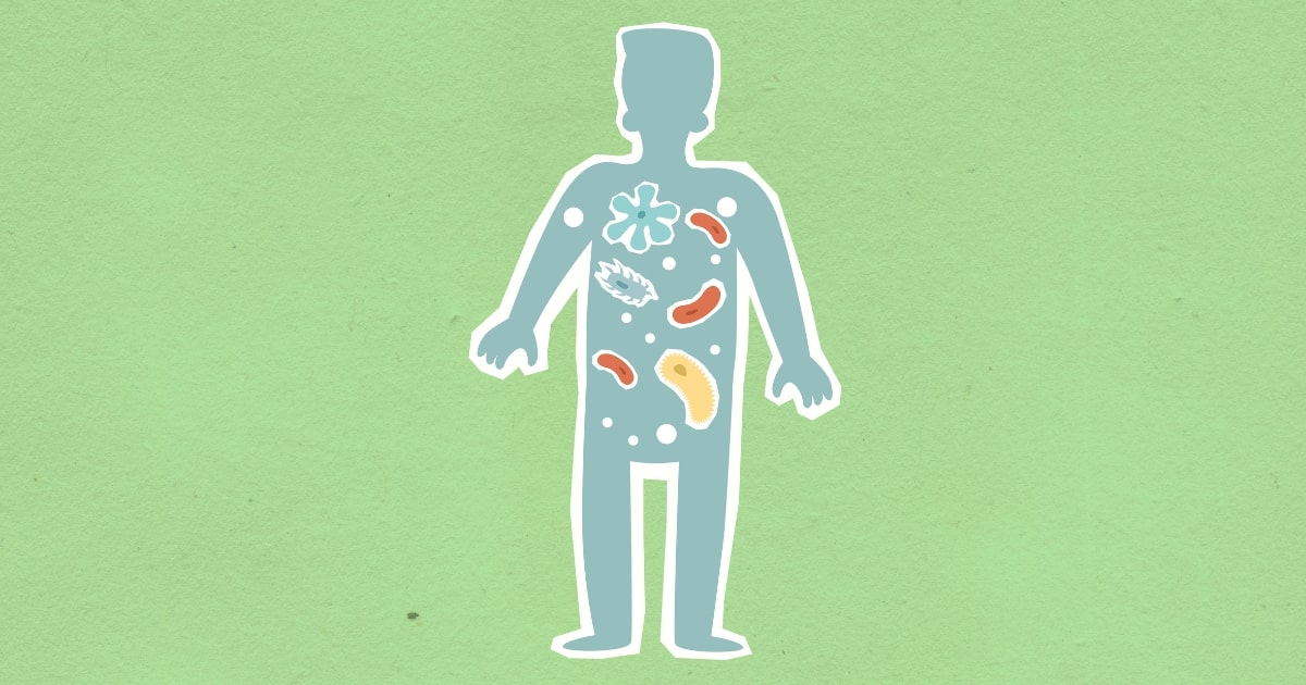 Rodzaje flory bakteryjnej - zdjęcie poglądowe