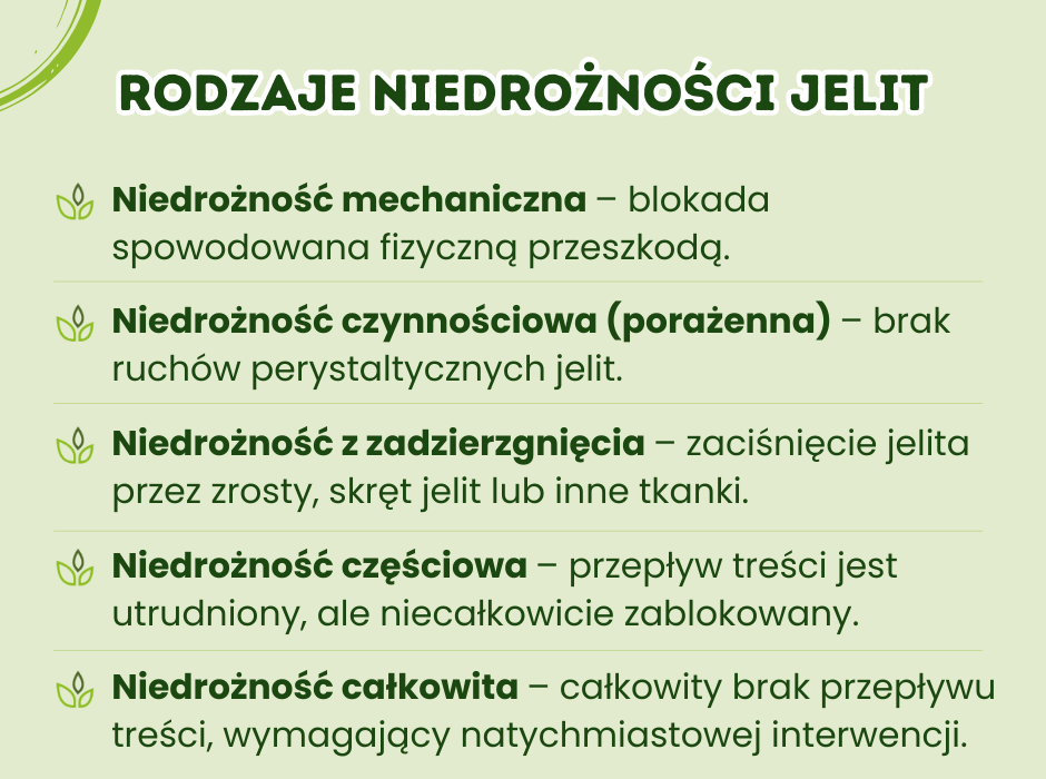 Rodzaje niedrożności jelit - infografika