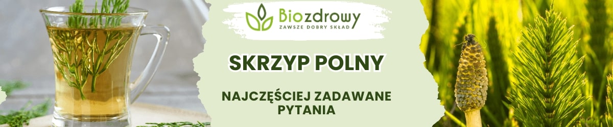 Skrzyp polny faq - najczęściej zadawane pytania