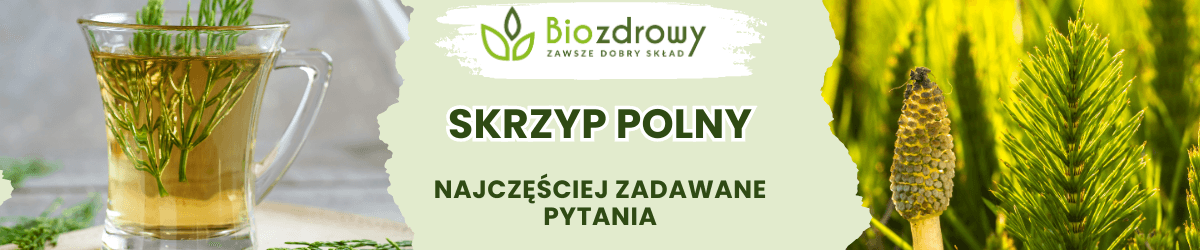 Skrzyp polny FAQ - obrazek poglądowy