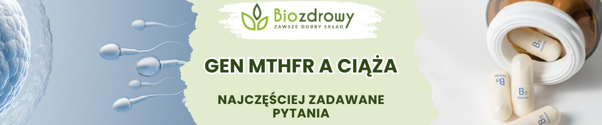 Gen MTHFR a ciąża faq - najczęściej zadawane pytania