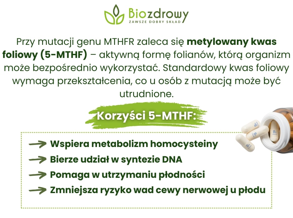 Jaki kwas foliowy przy MTHFR - infografika