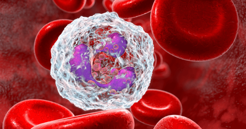 Neutropenia. O czym świadczy niski poziom neutrofili? - obrazek wyróżniający