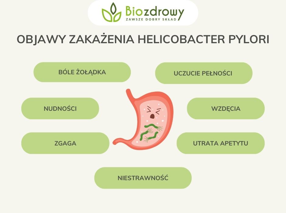 Objawy zakażenia Helicobacter pylori - infografika