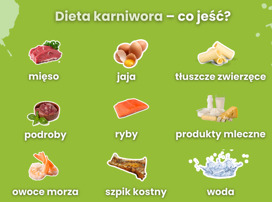 Dieta karniwora - co jeść? - infografika