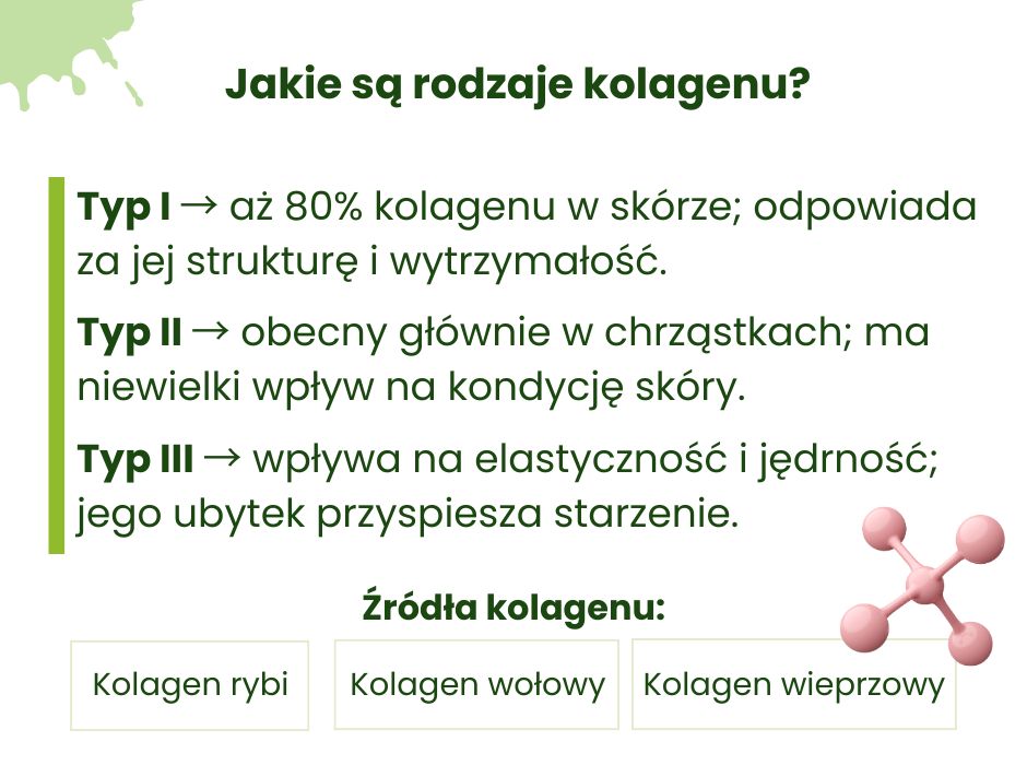 Jakie są rodzaje kolagenu? - infografika
