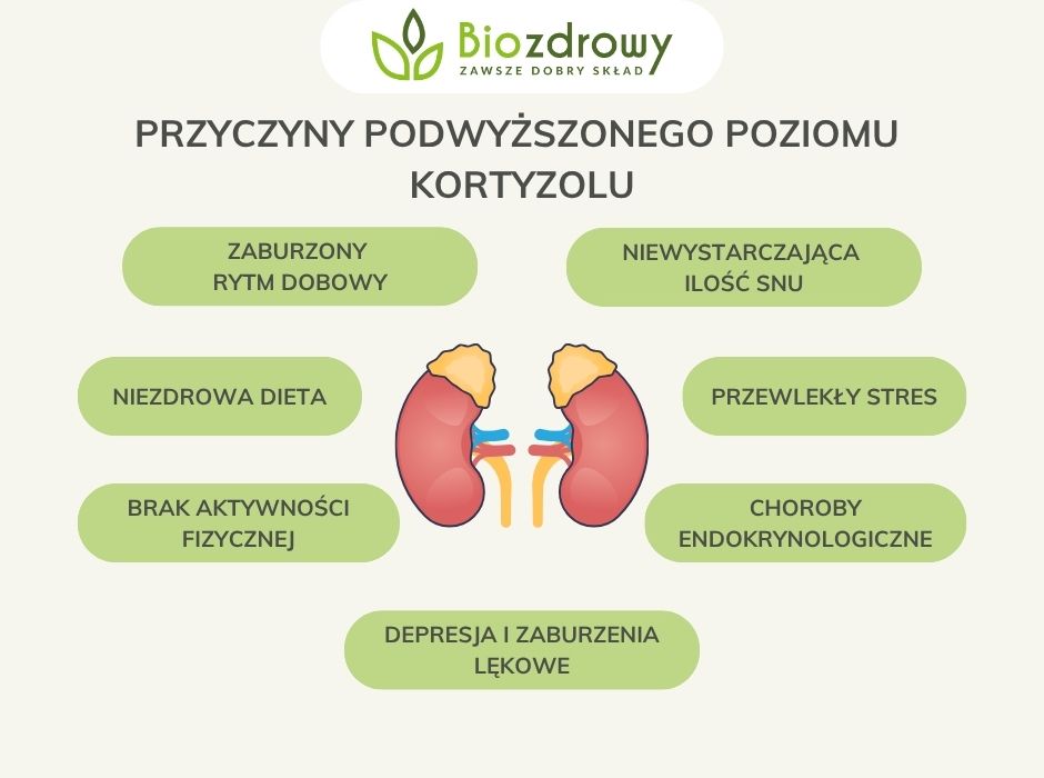 Przyczyny podwyższonego poziomu kortyzolu - infografika