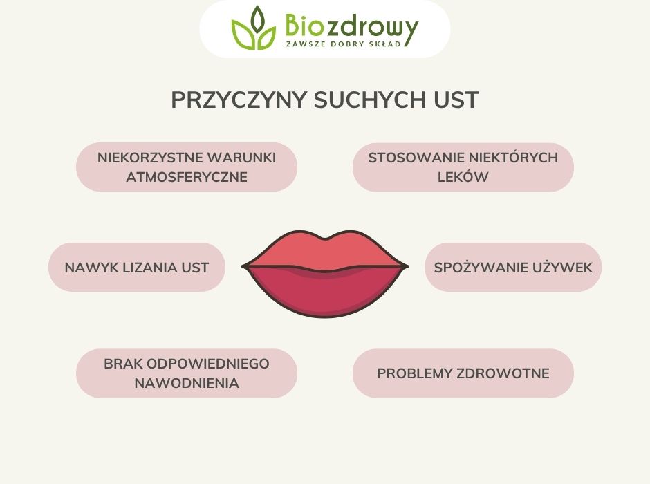 Przyczyny suchych ust - infografika