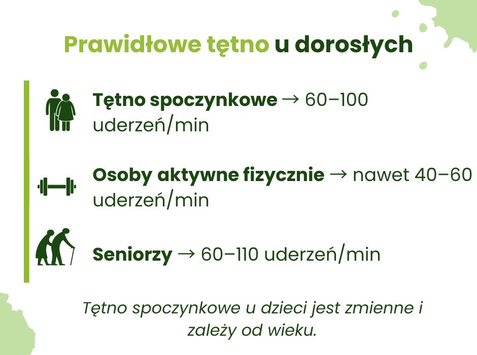 Normy tętna u dorosłych - infografika