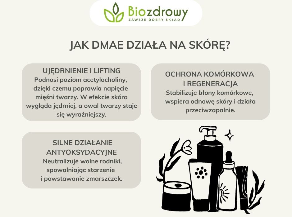 Jak DMAE działa na skórę - infografika