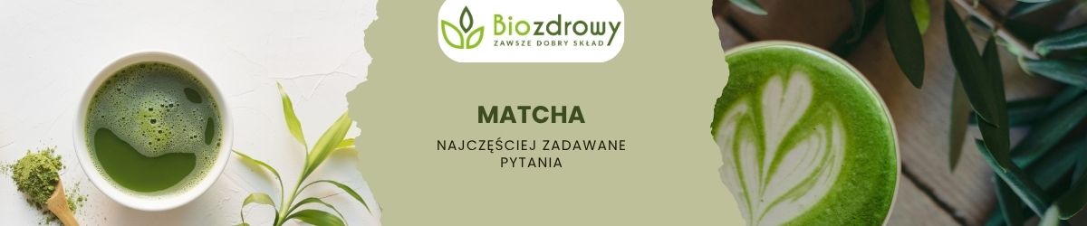 Matcha faq - najczęściej zadawane pytania