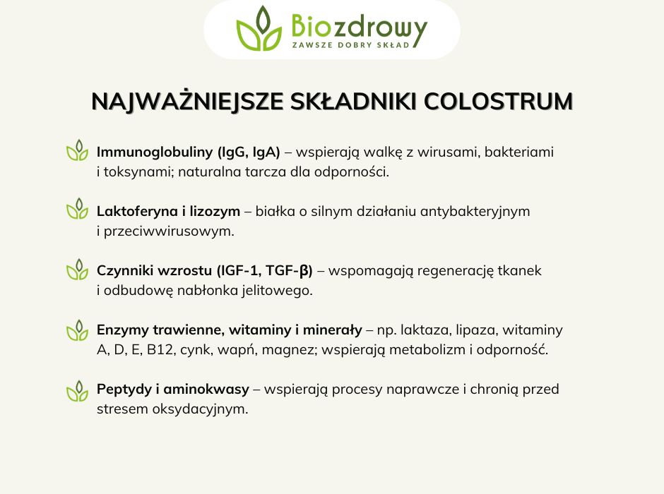 Najważniejsze składniki colostrum - infografika