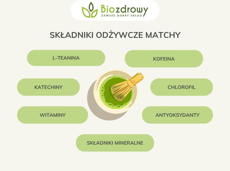Składniki odżywcze matchy - infografika