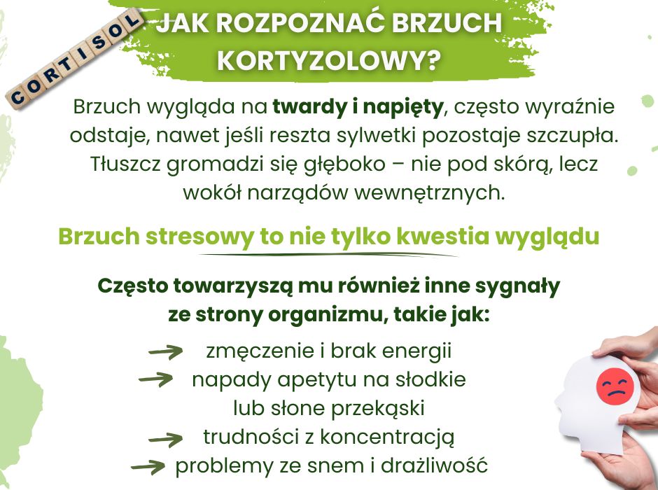 Jak rozpoznać brzuch kortyzolowy - infografika