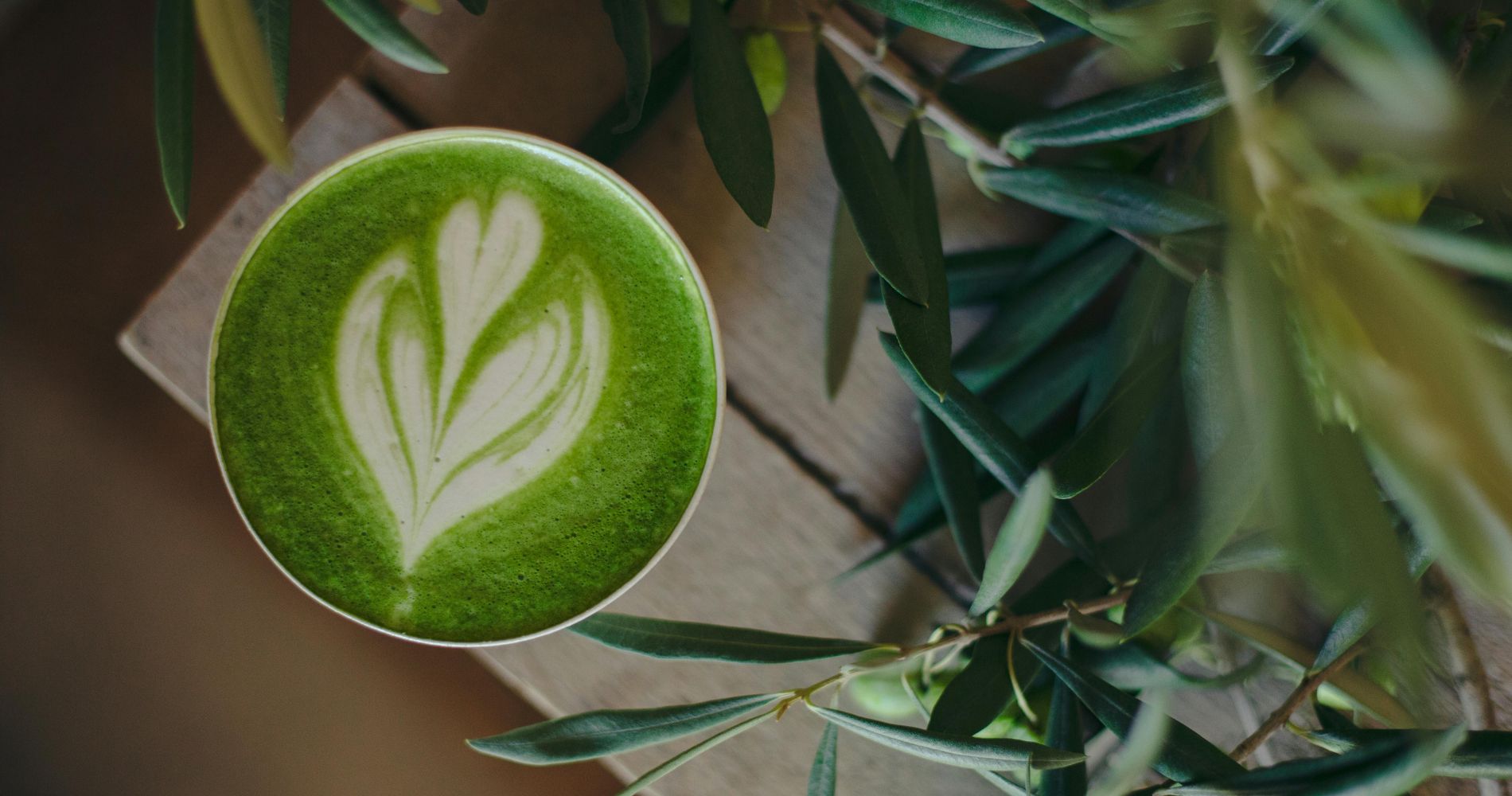 Kubek herbaty matcha z mleczną pianką – właściwości i sposób przygotowania matchy.