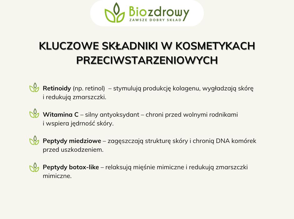 Kluczowe składniki w kosmetykach przeciwstarzeniowych - infografika