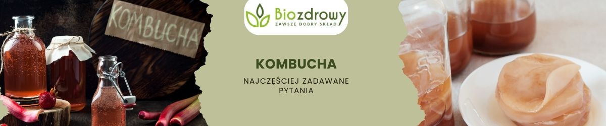 Kombucha faq - najczęściej zadawane pytania