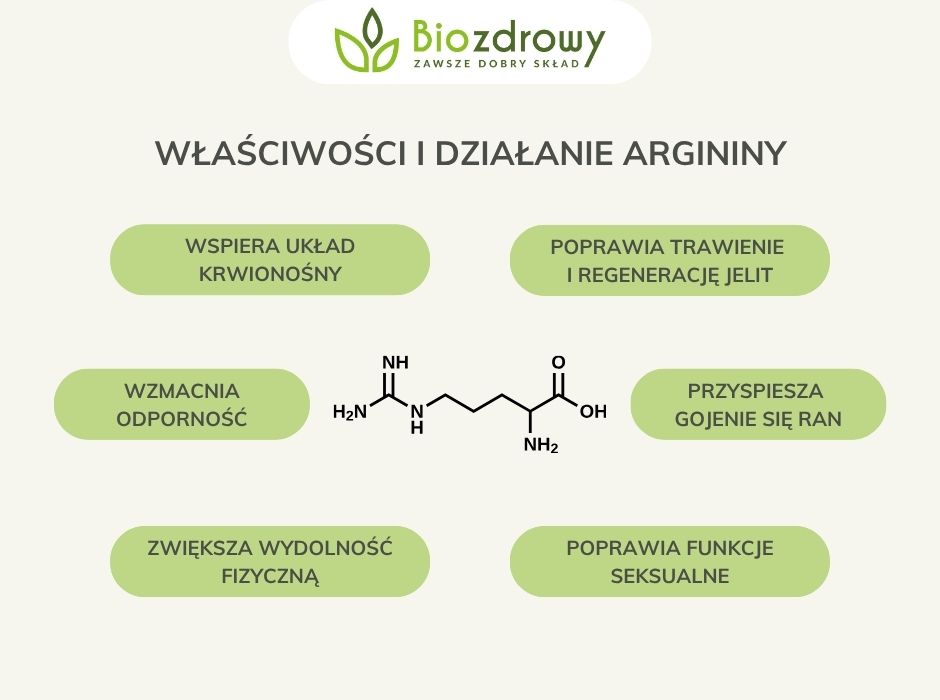 Właściwości i działanie argininy - infografika
