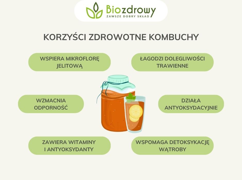 Właściwości zdrowotne kombuchy - infografika