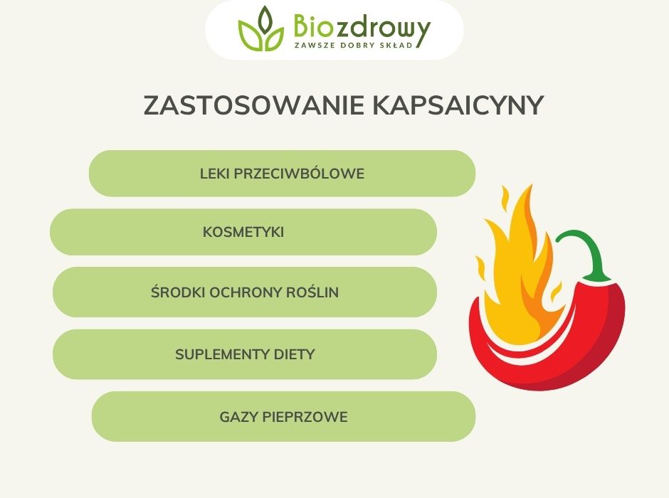 Zastosowanie kapsaicyny - infografika