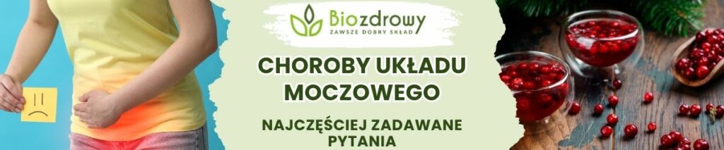 Choroby układu moczowego FAQ - obrazek poglądowy