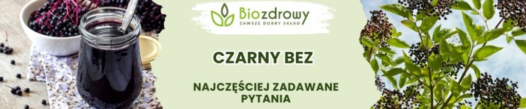 Czarny bez FAQ - obrazek poglądowy