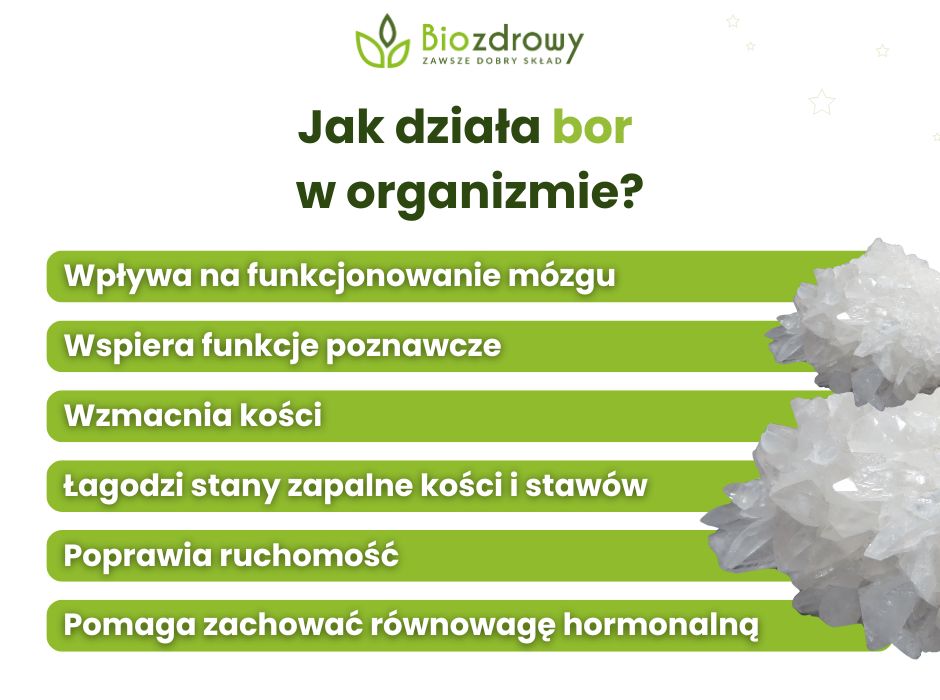 Jak działa bor 
w organizmie? - infografika