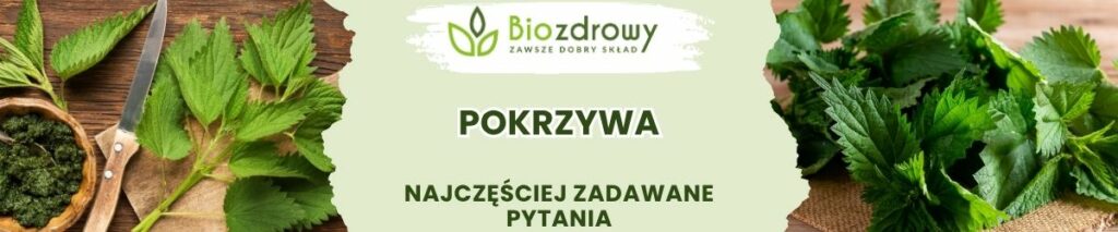 Pokrzywa FAQ - obrazek poglądowy