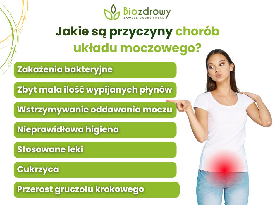 Przyczyny chorób układu moczowego - infografika