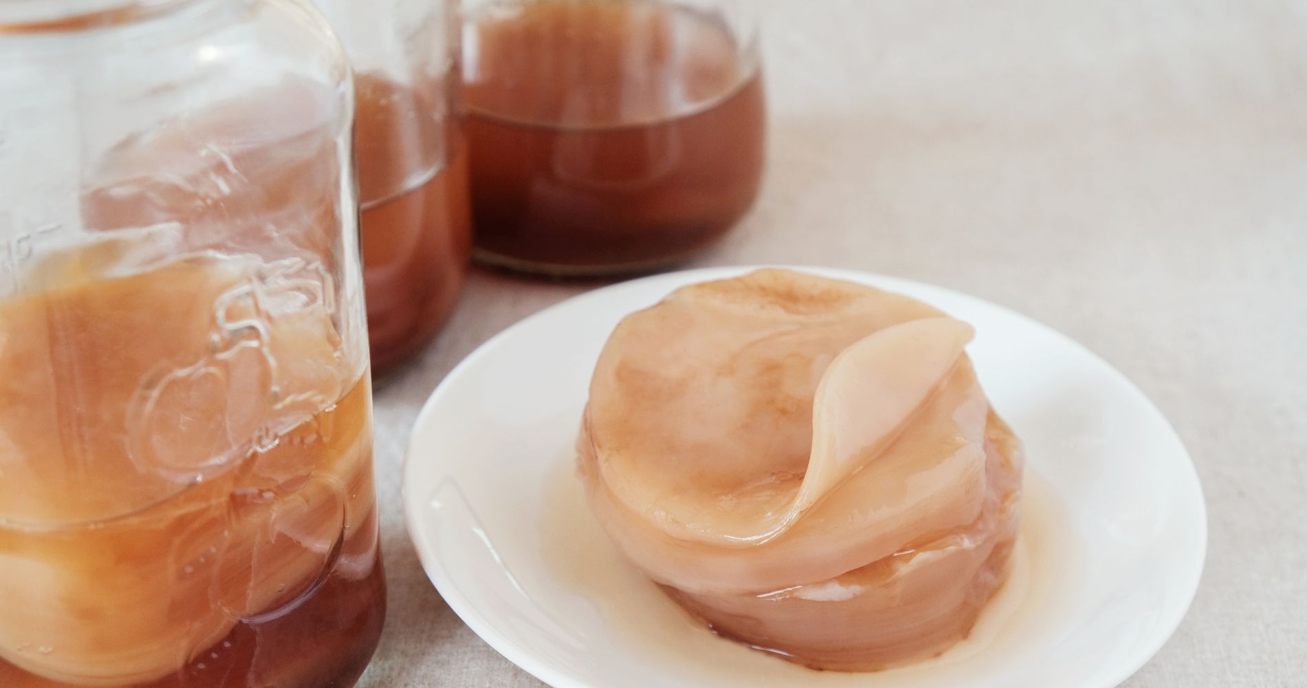 SCOBY w słoiku – grzyb herbaciany do przygotowania kombuchy w domu.