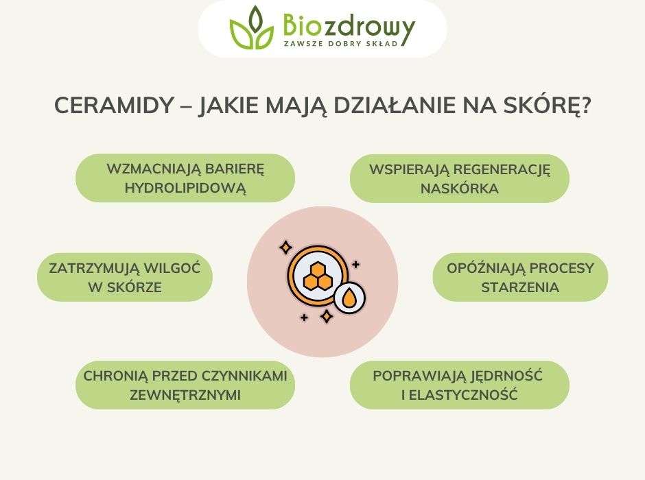 Ceramidy–jakie mają działanie na skórę - infografika