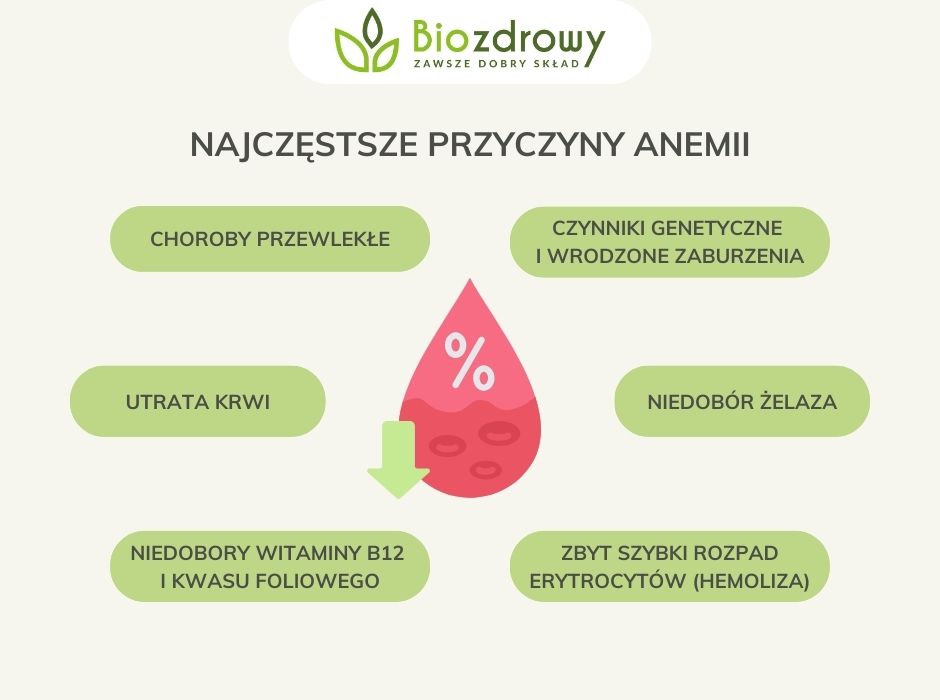 Najczęstsze przyczyny anemii - infografika